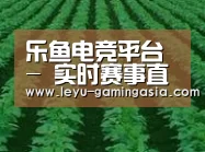 种植基地六(图1)