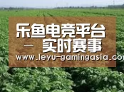 种植基地五