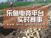 种植基地七(图1)