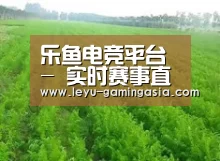 种植基地四
