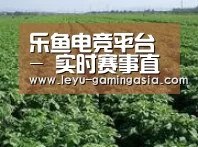 种植基地五(图1)
