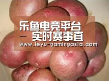 产品展示标题1