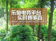 种植基地九