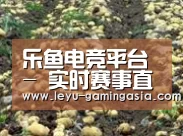 种植基地七