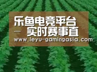 种植基地六