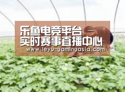 种植基地三
