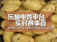 产品展示标题6