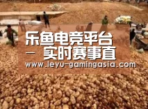 种植基地二