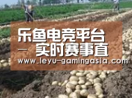 种植基地八