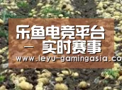 种植基地八(图1)