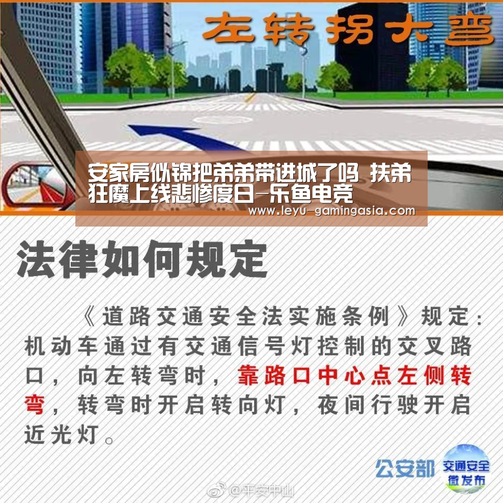 安家房似锦把弟弟带进城了吗 扶弟狂魔上线悲惨度日-乐鱼电竞(图2) 乐鱼体育平台