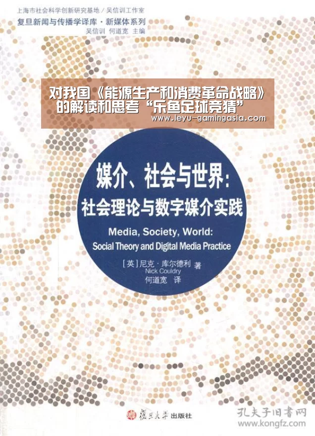 对我国《能源生产和消费革命战略》 的解读和思考“乐鱼足球竞猜”(图2) 乐鱼体育平台