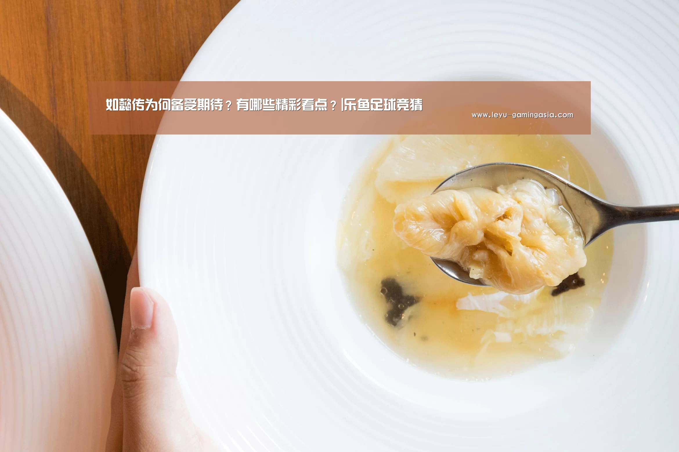 如懿传为何备受期待?有哪些精彩看点?|乐鱼足球竞猜(图2) 乐鱼电竞