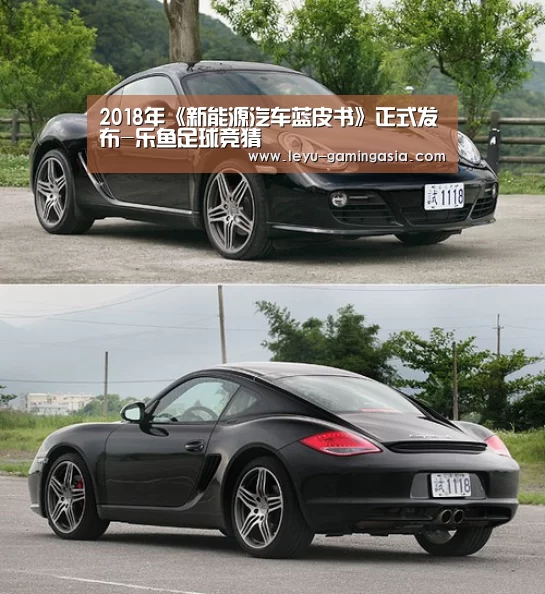2018年《新能源汽车蓝皮书》正式发布-乐鱼足球竞猜(图1) 乐鱼足球竞猜