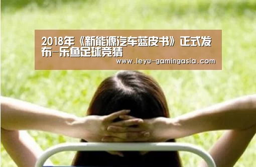 2018年《新能源汽车蓝皮书》正式发布-乐鱼足球竞猜(图3) 乐鱼电竞赛事