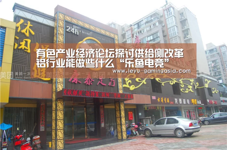 有色产业经济论坛探讨供给侧改革 铝行业能做些什么“乐鱼电竞”(图1) 乐鱼体育平台