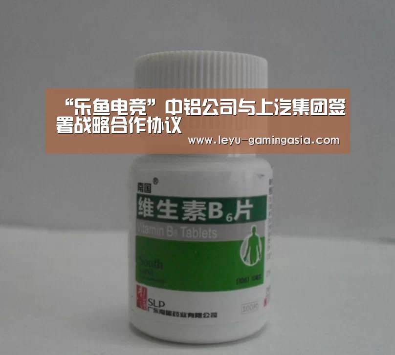 乐鱼电竞赛事