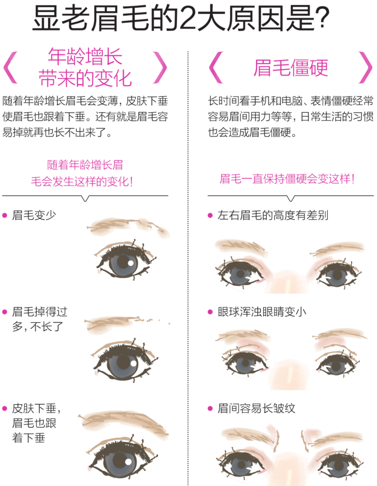 乐鱼电竞