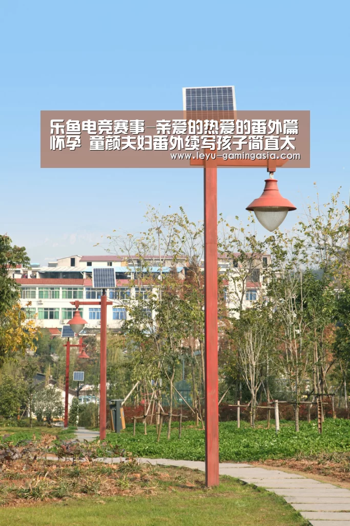 乐鱼体育平台