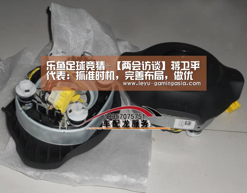 乐鱼足球竞猜-【两会访谈】蒋卫平代表:抓准时机,完善布局,做优质锂生产商(图3) 乐鱼体育平台