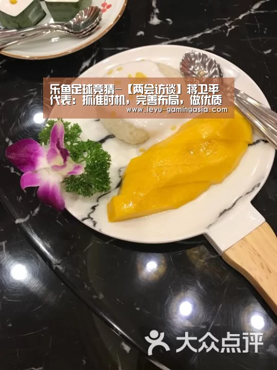 乐鱼足球竞猜-【两会访谈】蒋卫平代表:抓准时机,完善布局,做优质锂生产商(图1) 乐鱼电竞赛事