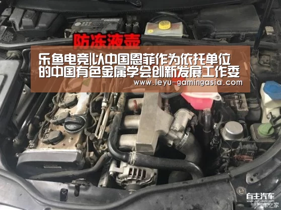 乐鱼电竞|以中国恩菲作为依托单位的中国有色金属学会创新发展工作委员会正式成立(图4) 乐鱼足球竞猜
