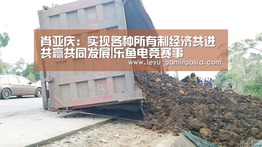 肖亚庆:实现各种所有制经济共进共赢共同发展|乐鱼电竞赛事(图1) 乐鱼足球竞猜