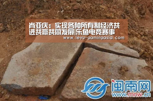 肖亚庆:实现各种所有制经济共进共赢共同发展|乐鱼电竞赛事(图4) 乐鱼电竞