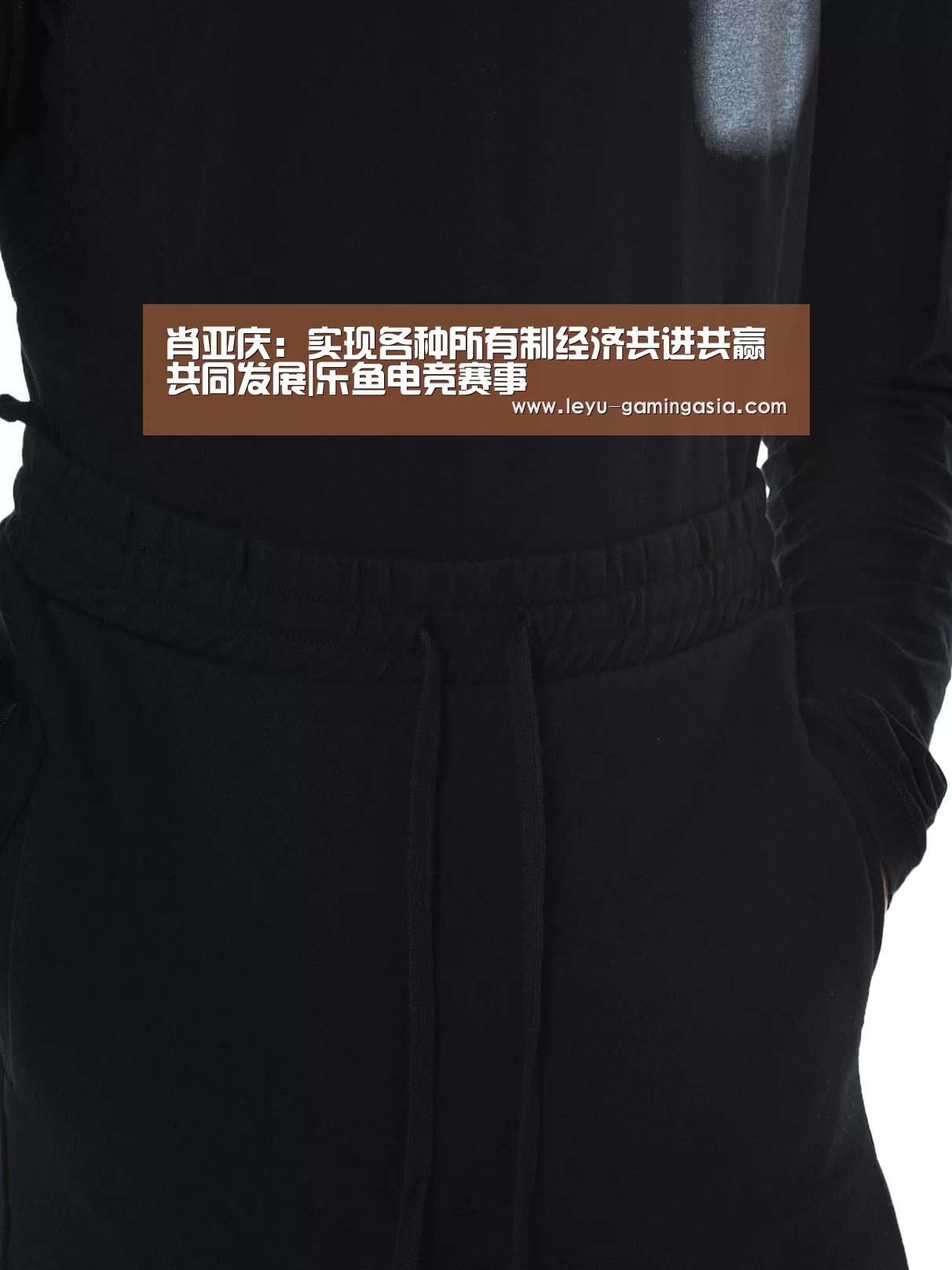 肖亚庆:实现各种所有制经济共进共赢共同发展|乐鱼电竞赛事(图3) 乐鱼电竞