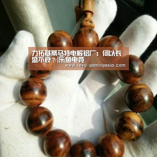 乐鱼电竞赛事