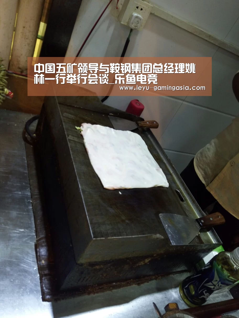 中国五矿领导与鞍钢集团总经理姚林一行举行会谈_乐鱼电竞(图2) 乐鱼体育平台