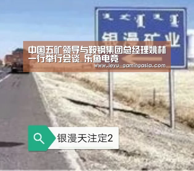 中国五矿领导与鞍钢集团总经理姚林一行举行会谈_乐鱼电竞(图4) 乐鱼足球竞猜