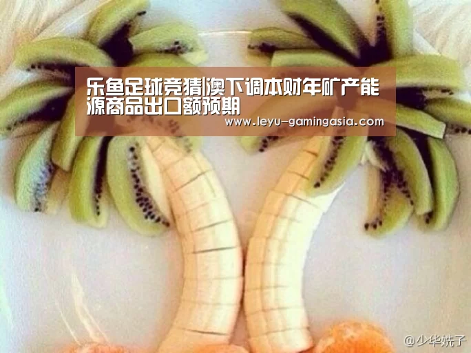乐鱼足球竞猜|澳下调本财年矿产能源商品出口额预期(图1) 乐鱼足球竞猜