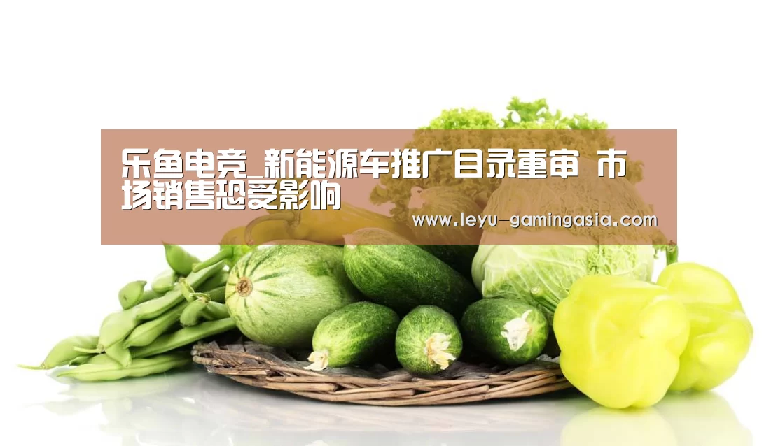 乐鱼足球竞猜